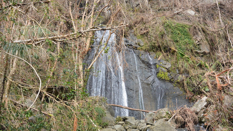 El Yunque’s iconic La Coca falls, on October 4th. Photo Courtesy of Grizelle González